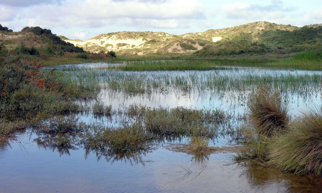 Réserve Naturelle du Westhoek